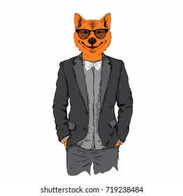 Illustration of fox hipster dressed up in jacket, pants and sweater. Vector illustration