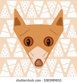 illustration of a fox on a pink graphic background