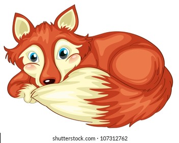 ilustración de fox en un fondo blanco