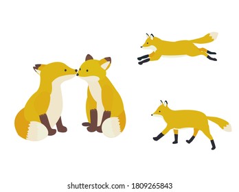 Illustration of foxes.  Cute fox.