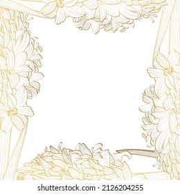 Illustration of a frame of graphic linear golden hyacinth. Banner template with spring flowers. 