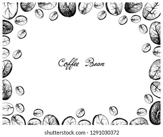 Illustration Frame of Hand Drawn Sketch of Assorted Roasted Coffee Beans Isolated on White Background.