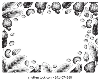 Illustration Frame of Hand Drawn Sketch Fresh Cashew Nuts and Peanuts or Groundnuts Background, Good Source of Dietary Fiber, Vitamins and Minerals.