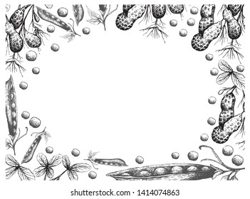 Illustration Frame of Hand Drawn Sketch Fresh Peanuts or Groundnut with Snow Peas, Snap Peas or Pisum Sativum on White Background.