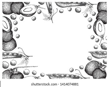 Illustration Frame of Hand Drawn Sketch Coconut or Ocos Nucifera Fruits and Snow Peas, Snap Peas or Pisum Sativum Isolated on White Background.