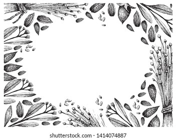 Illustration Frame of Hand Drawn Sketch Flax Seed or Linum Usitatissimum and Simmondsia Chinensis or Jojoba Nuts Isolated on White Background.