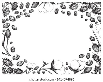 Illustration Frame of Hand Drawn Sketch of A Branch of Cotton Flower with Bud and Castor Beans or Ricinus Communis Isolated on White Background.