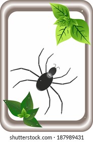 illustration with frame and spider with sheet