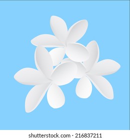 illustration Frangipani flower