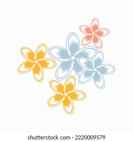illustration of frangipani flower, vector art.