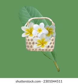 Illustration of frangipani flowers in a basket made of woven bamboo and rattan