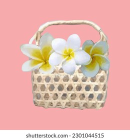 Illustration of frangipani flowers in a basket made of woven bamboo and rattan