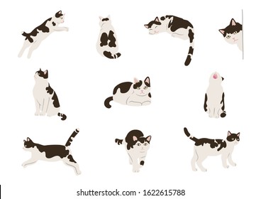 Illustration of free and cute cats