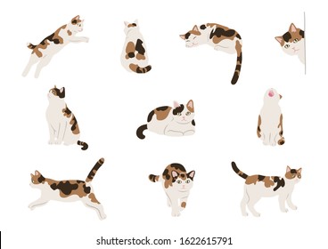 Illustration of free and cute cats