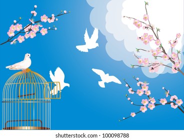 Illustration mit freien Tauben und Kirschblumen