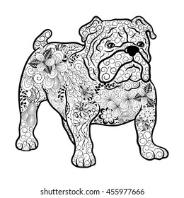 Illustration "French Bulldog Dog" was created in doodling style in black and white colors.  Painted image with high details is isolated on white background.It  can be used for coloring books for adult