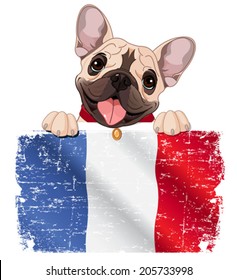 Ilustración de hincha de bulldog francés sostiene bandera francesa