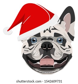 Illustration French bulldog with red Santa hat 
