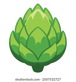 Illustration of Fresh Artichoke Isolated on white