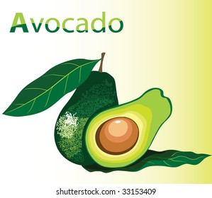 Illustration of Fresh Avocado
