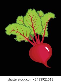 Ilustración de una remolacha fresca