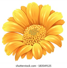 Illustration of a fresh blooming flower on a white background