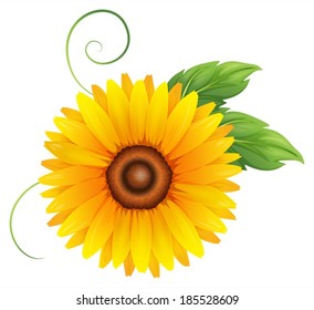 Illustration of a fresh blooming yellow flower on a white background