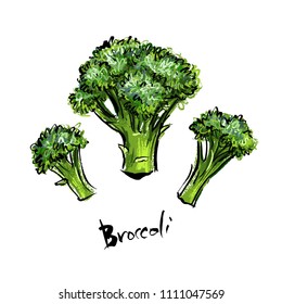Illustration of fresh broccoli.