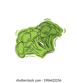 Illustration of fresh broccoli vector 