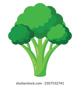 Illustration of Fresh Broccolini Isolated on white