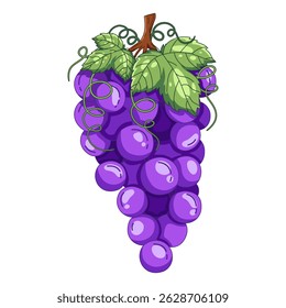 illustration of a fresh bunch of ripe purple grapes hanging from a lush green vine. The grapes display natural shine and detailed texture, representing freshness and healthy fruit.
