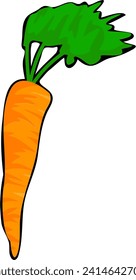 Illustration of a fresh carrot on a white background, vector illustration