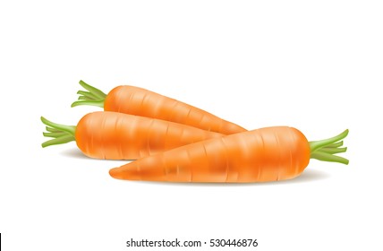 Illustration of fresh carrot on white background