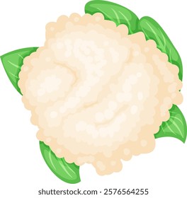 Illustration of a fresh cauliflower head surrounded by vibrant green leaves, showcasing its natural texture and organic appeal. Perfect for topics on healthy eating and vegetarian cuisine