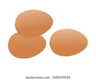 illustration of fresh chicken eggs