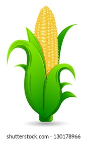 illustration of fresh corn with leaf on isolated white background