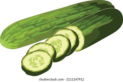 Illustration of fresh cucumbers vector art design