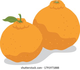 Illustration of a fresh deco pong of fruits (citrus fruits)

