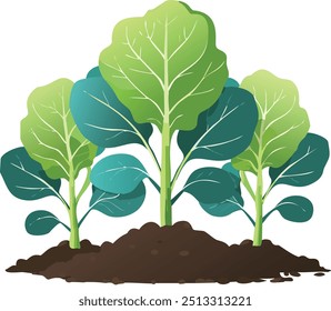 Illustration of fresh and fertile spinach plants