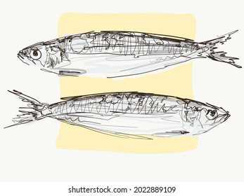 an illustration of fresh fish suitable for consumption, drawn with the scribble technique