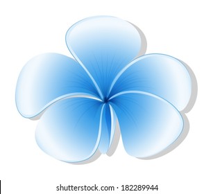 Illustration of a fresh five-petal blue flower on a white background