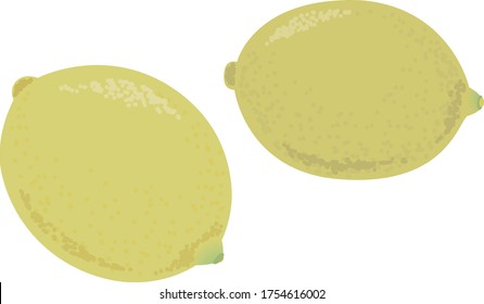 
Illustration von frischem ObstZitronenfleisch