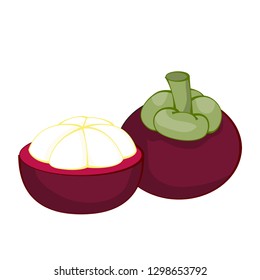Illustration of fresh fruit mangosteen, isolated on white background, fresh healthy food,  organic natural fruit. Vector Illustration.