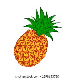 Illustration of fresh fruit pineapple, solated on white background, fresh healthy food,  organic natural fruit. Vector Illustration.