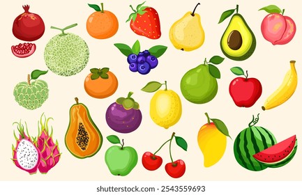 Illustration of fresh fruit, Fresh summer fruits, fruit vector illustration,  hand drawn fruit set vector.