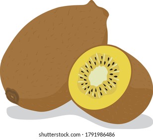 Illustration of a fresh gold kiwi-fruit of fruits
