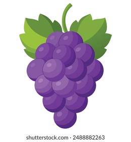 Illustration of Fresh Grape Isolated