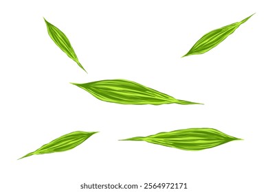 illustration of fresh green bamboo leaves falling without background