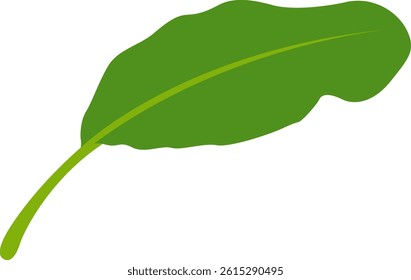 Illustration of Fresh Green Banana Leaves