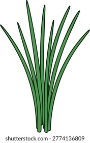 Illustration of fresh green chives, a common culinary herb used for flavoring dishes. The chives are depicted as slender, hollow leaves.